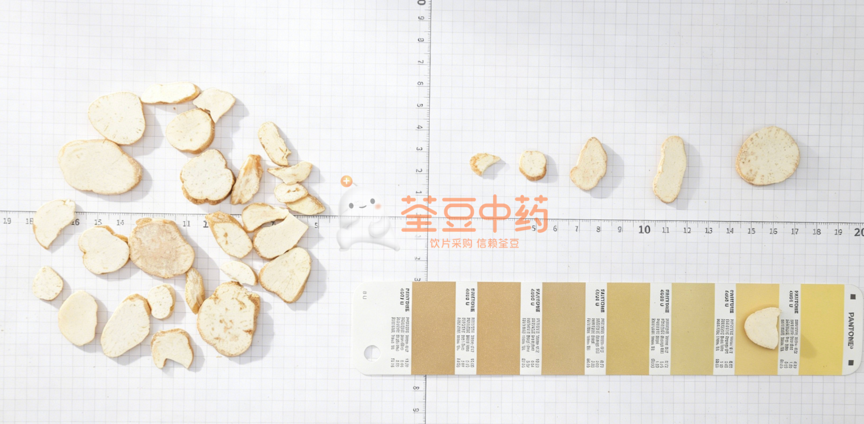 避免天花粉不良反应,学会“断面辨品种”